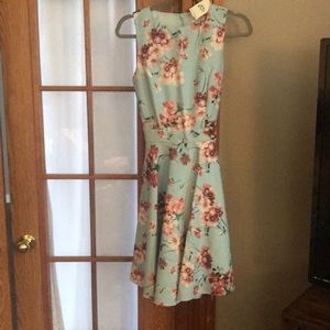 NEW Miss Selfridge Dress